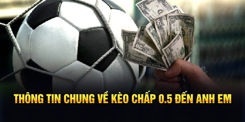 shbet0 nổ hũ b29 là gì