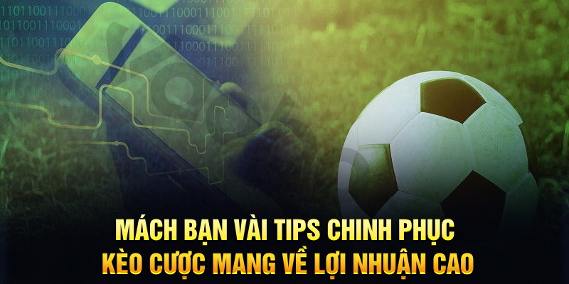 shbet0 đăng nhập phỏm hàng đầu