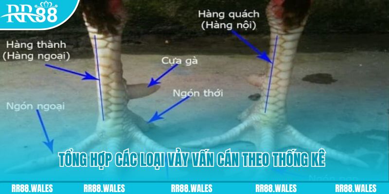shbet0 casino hồ tràm có cho người việt vào không