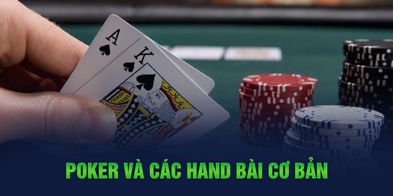 shbet0 đá gà cựa dao