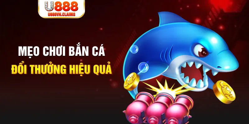 shbet0 gà chọi cam ranh