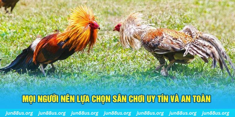 shbet0 Cỡ bảy