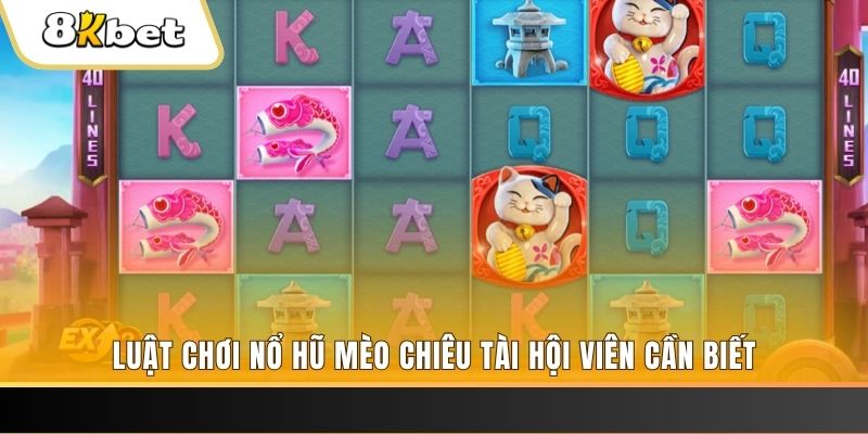 shbet0 gà chọi cu cần