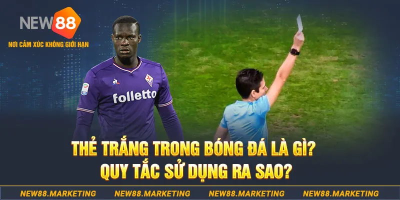 shbet0 đăng nhập sòng bạc hôm nay
