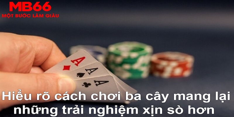 ÁT CHỦ MÁY HOA QUẢ THẦN TÀI