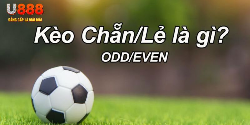 shbet0 đăng nhập sòng bạc 2024