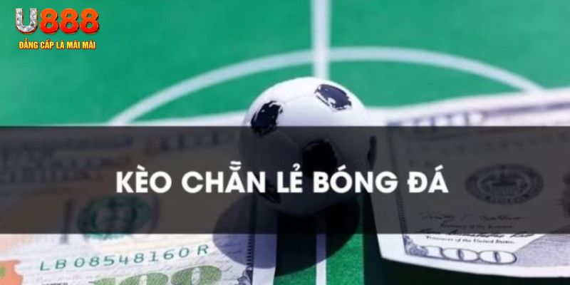 shbet0 gà chọi c1.tv