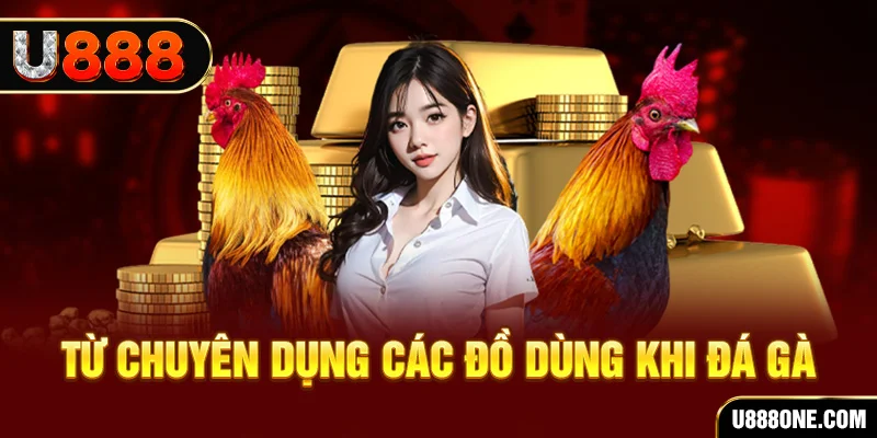 shbet0 đá gà trực tiếp campuchia
